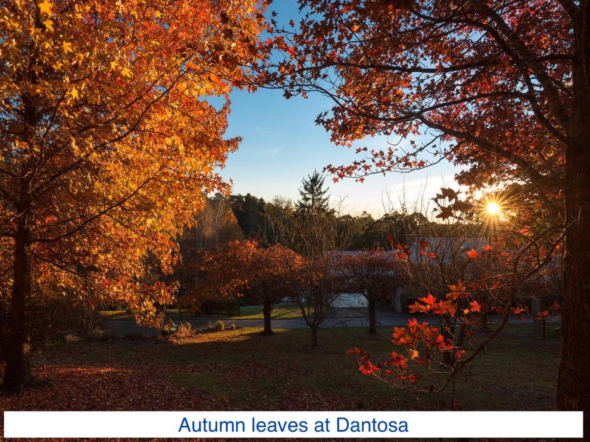 Dantosa Blue Mountains Retreat Katoomba Exterior foto
