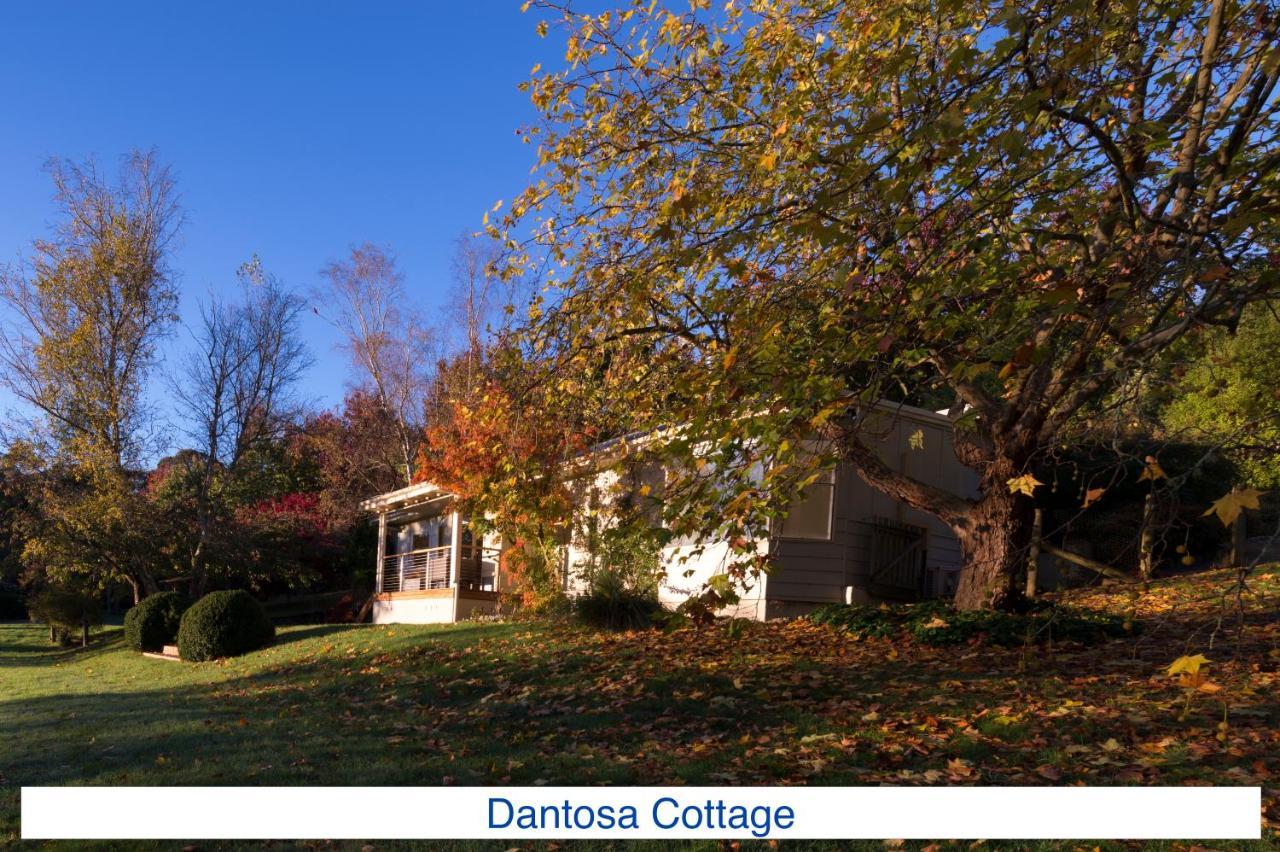 Dantosa Blue Mountains Retreat Katoomba Exterior foto