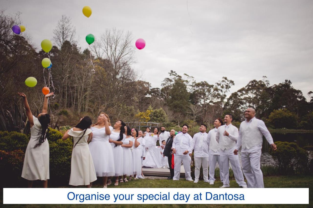 Dantosa Blue Mountains Retreat Katoomba Exterior foto